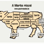 Marha részei és felhasználásuk